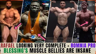 Can Rafael crack top 10 at Olympia 2022 + Blessing making ever day count+ Why is Behroz underrated ?