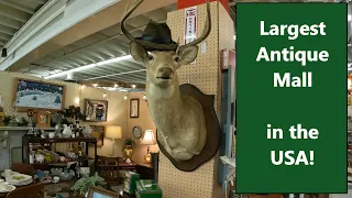 Largest Antique Mall in the USA - Factory Antique Mall Verona, VA