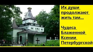 ХРАМ КСЕНИИ БЛАЖЕННОЙ/ СТРАШНАЯ ТАЙНА СМОЛЕНСКОГО КЛАДБИЩА