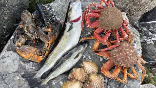 Epic Foraging Adventure!! Scallops, Crab, Big Lobster and More!!