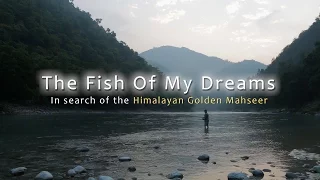 The Fish Of My Dreams - In search of the Himalayan Golden Mahseer - Trailer