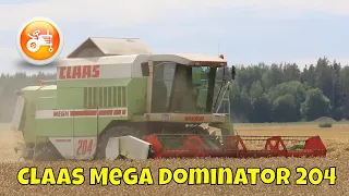 Harvest 2023 | Claas Mega Dominator 204 combine harvesting wheat