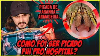 PICADA DE ARANHA ARMADEIRA