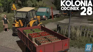 Na TARG z OGÓRKAMI, PAPRYKĄ I CELUBĄ [28] Podwórko Kolonisty 👩‍🌾▶ Map: KOLONIA