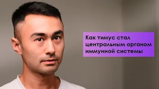 История о том, как тимус стал центральным органом иммунной системы.