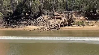 Watching our mates send it - #44 Moist - entry in the Southern 80 - Tyler and Zac Francis