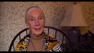 Dr. Jane Goodall's Message for #PeaceDay 2018