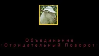 Лучший короткометражный артхаусный фильм