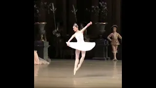 Anastasia Nuikina (Mariinsky Ballet) -  Diamond Fairy, The Sleeping Beauty