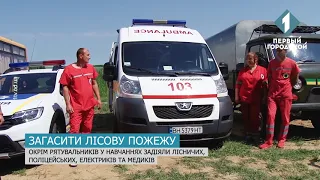 Рятувальники провели масштабні навчання в Одеській області