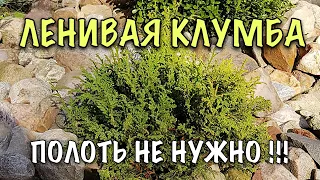 НЕ НУЖНО ПОЛОТЬ! ЛЕНИВАЯ  клумба - миксбордер из хвойных растений, ПРОСТО И ОЧЕНЬ КРАСИВО