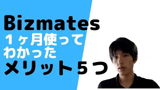 ビズメイツを1ヶ月やってみた！そのメリット５つと感想【オンライン英会話Bizmates】