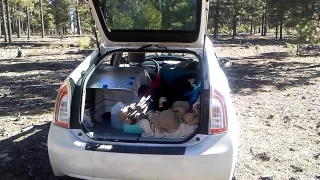 Dispersed camping in National Forest