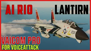 F-14 AI Jester LANTIRN | VAICOM Pro | Digital Combat Simulator | DCS World