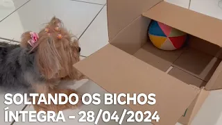 Soltando os Bichos - 28/04/2024