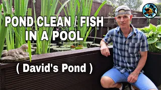 Pond Clean / Fish In A Pool ( David's Pond )