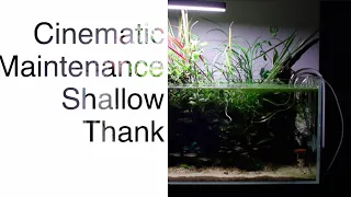 shallow tank cinematic maintainance