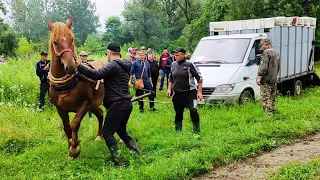 4×4 ПОВНОПРИВІДНИЙ ПОЗАШЛЯХОВИК💣💪💪💪/СИЛА КОНЯ/МОЦЕННІ КОНІ В ПЕТРА🚛