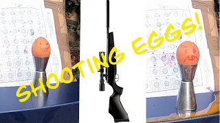 BSA Lightning XL SE GRT Shooting Eggs!