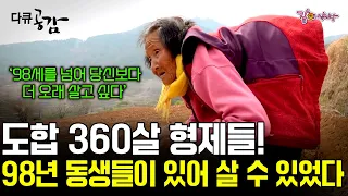 [다큐 공감] 올해로 98세, 셋째는 92세. 가난한 집안에 태어나 먹고 살기 힘들었던 시절을 견뎌낸 4형제의 형제애는 각별하다.ㅣKBS 2019.04.07