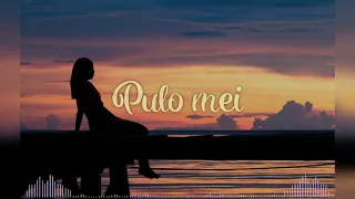 Pulo mei_Agii ft Riwol & hops_prod 2024