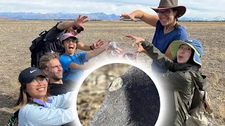 We found New Zealand’s 10th Meteorite! - Fireballs Aotearoa ☄️