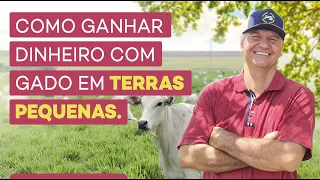 COMO GANHAR DINHEIRO EM PEQUENAS ÁREAS