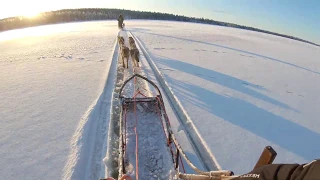 Husky ride on frozen lake in Finnish Lapland