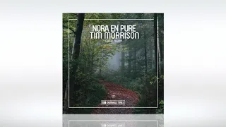 Track of the Day (26/10/2020) ~ Nora En Pure ft. Tim Morrison - Come Away (Extended Mix)