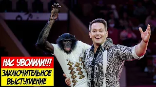 SHOCK!!! GIVEN SPARE FIRED AFTER THIS PERFORMANCE! SHIMPANZE BONYA in the Omsk circus