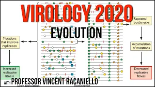 Virology Lectures 2020 #21: Evolution