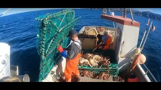 Red King Crab Bonanza!! $15 000 In One Hour On Small Boat! - King Crab Fishing in Northern Norway.