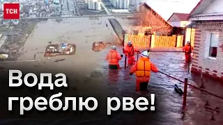 🌊🤯 Поки нові області Росії готуються до запливу, місцеві чиновники все більше оскандалюються