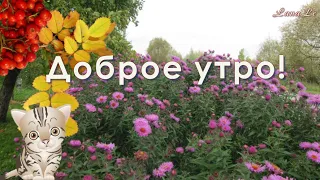 Доброе утро!/ Хорошего настроения!