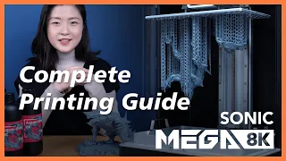 Sonic Mega 8K Complete Printing Guide