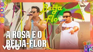 Matheus & Kauan - A Rosa E O Beija Flor (Ao Vivo Em Recife / 2020)