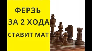 Шахматы. ФЕРЗЬ ЗА 2 ХОДА СТАВИТ МАТ , ЛОВУШКА