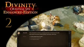 Divinity: Original Sin EE - 2 - The Great Ishmashell.