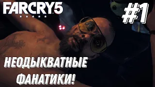 Far Cry 5 (Какое-то чувство дежавю) 1#
