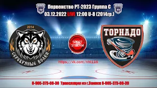 03.12.2022 СЕРЕБРЯНЫЕ ВОЛКИ (Елабуга)-ТОРНАДО (Чистополь) LIVE 12:00  РТ U-8 (2014гр.) Группа С