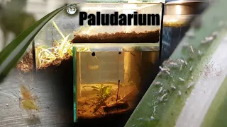 Sealing the Paludarium Airtight - Part Aquarium Part Terrarium