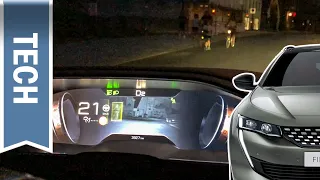 Kurz getestet: Nachtsichtassistent  Nightvision im Peugeot 508  (vs. VW Touareg)