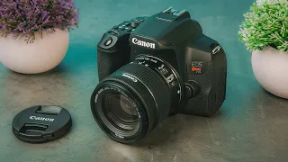 Best Beginner Cameras in 2024