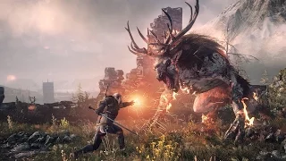 The Witcher 3: Wild Hunt #35 Первые шаги на Скеллиге