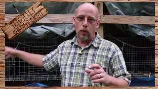 How Much Do Meat Rabbits Eat - The SR Rabbit Update 8-29-17