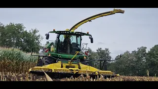 Mais hakselen 2023 | Harvesting maize 2023 | Blankespoor | John-Deere 9500i | 6x fendt | in the mud