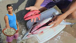 ENCONTRAMOS DENTRO DO PEIXE APÓS TIRAR OS MOLUSCOS DA PRAIA