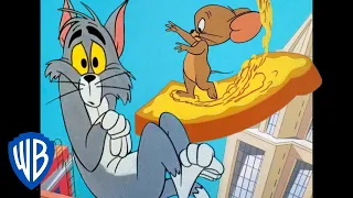 Tom et Jerry en Français | Une souris dans la ville | WB Kids