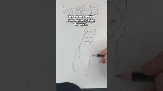 How to Draw a Dog - Husky. Please subscribe! #shorts