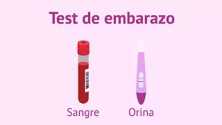 ¿Test de embarazo en orina o en sangre?